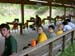 Camp Shands 2006_208