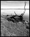 CROOKED_RIVER_04.28.07_003