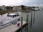 CUMBERLAND ISLAND CAMPOUT_020207_013