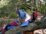 CUMBERLAND ISLAND CAMPOUT_020207_051