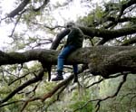 CUMBERLAND ISLAND CAMPOUT_020207_075