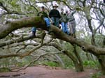 CUMBERLAND ISLAND CAMPOUT_020207_077