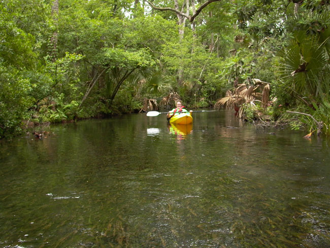 JUNIPER_SPRINGS_05.26.07_036