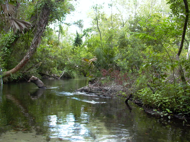 JUNIPER_SPRINGS_05.26.07_041