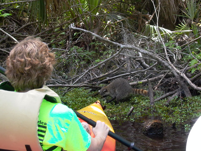 JUNIPER_SPRINGS_05.26.07_064