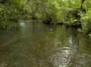 JUNIPER_SPRINGS_05.26.07_037