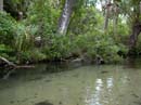 JUNIPER_SPRINGS_05.26.07_040