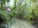 JUNIPER_SPRINGS_05.26.07_043