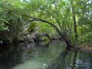 JUNIPER_SPRINGS_05.26.07_044