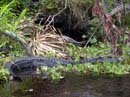 JUNIPER_SPRINGS_05.26.07_069