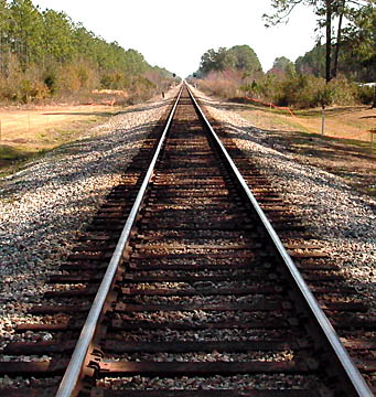 the rail from Jacksonville to Tallahassee