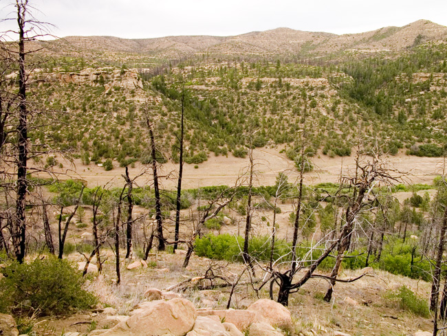 PHILMONT_2008.273