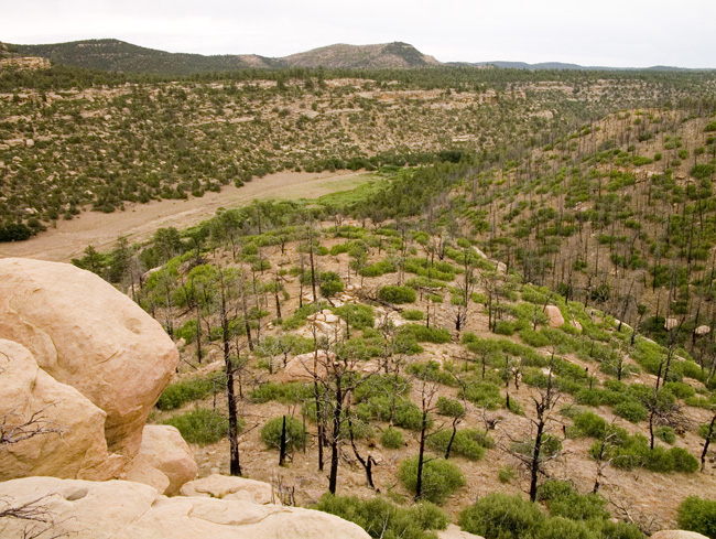 PHILMONT_2008.277