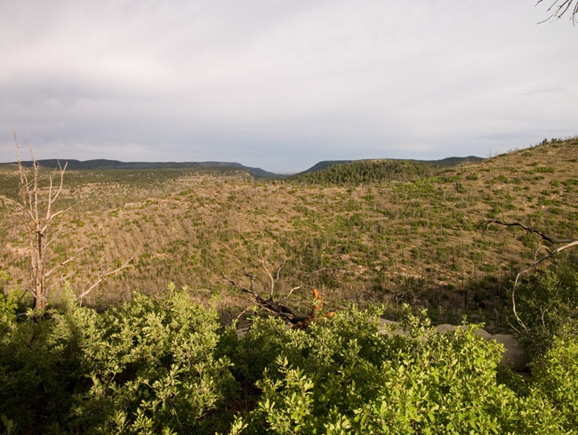 PHILMONT_2008.281