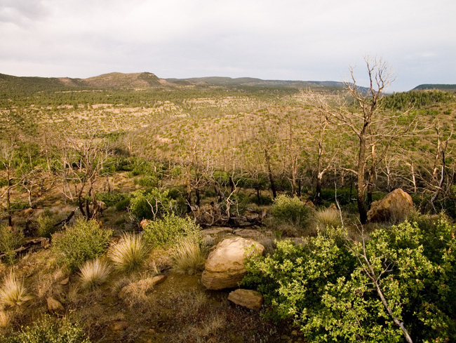 PHILMONT_2008.284