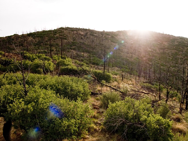 PHILMONT_2008.286