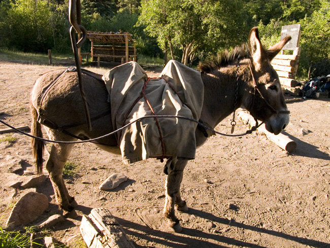 PHILMONT_2008.330