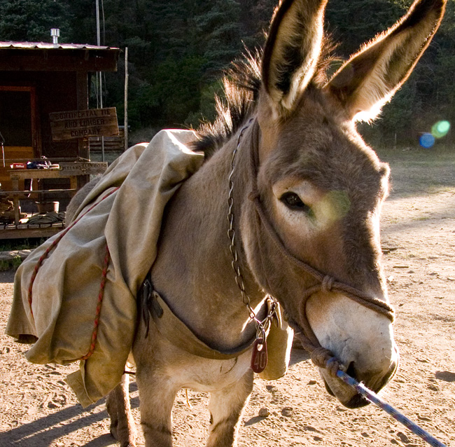 PHILMONT_2008.334