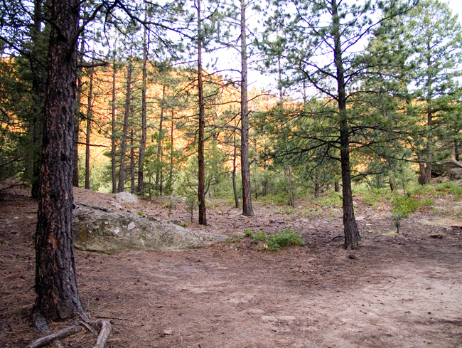 PHILMONT_2008.442